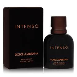 Dolce & Gabbana Intenso Eau De Parfum Spray By Dolce & Gabbana